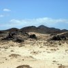 Fuerteventura-Isla de Lobos (8)